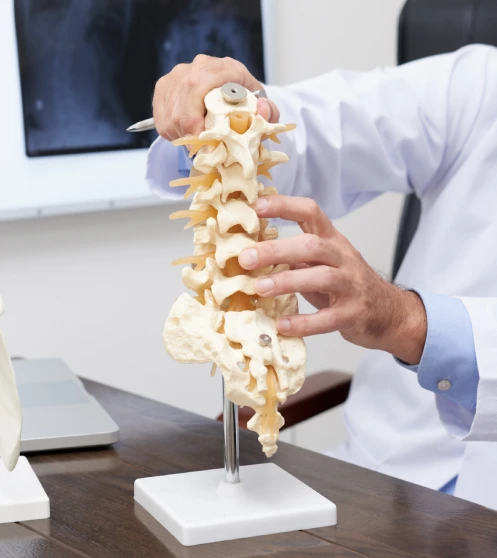 medico-de-columna-certificado-en-queretaro.webp